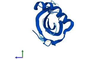 AlphaFold protein structure predicition of Human Recombinant CSTA Protein, UniprotID P01040