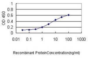 Detection limit for recombinant GST tagged ARF5 is approximately 0. (ARF5 anticorps  (AA 81-180))