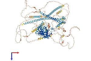 AlphaFold protein structure predicition of Human Recombinant NEK1 Protein, UniprotID Q96PY6