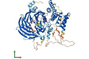 AlphaFold protein structure predicition of Human Recombinant WDTC1 Protein, UniprotID Q8N5D0