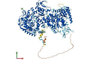 AlphaFold protein structure predicition of Mouse Recombinant Nol6 Protein, UniprotID Q8R5K4