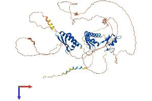 AlphaFold protein structure predicition of Mouse Recombinant Mex3c Protein, UniprotID Q05A36