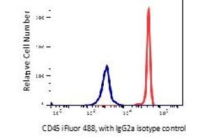 Flow Cytometry (FACS) image for anti-Protein tyrosine Phosphatase, Receptor Type, C (PTPRC) antibody (iFluor™488) (ABIN6253042) (CD45 anticorps  (iFluor™488))