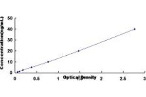 Typical standard curve (Biliverdin Reductase Kit ELISA)
