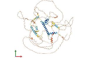 AlphaFold protein structure predicition of Human Recombinant ZBBX Protein, UniprotID A8MT70