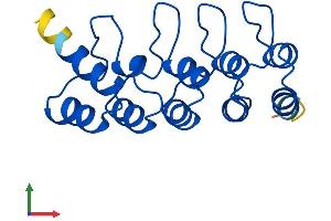 AlphaFold protein structure predicition of Mouse Recombinant Cdkn2d Protein, UniprotID Q60773