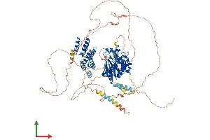 AlphaFold protein structure predicition of Human Recombinant TTK Protein, UniprotID P33981
