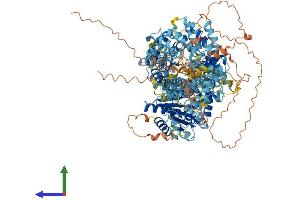 AlphaFold protein structure predicition of Mouse Recombinant Ttc41 Protein, UniprotID Q692V3