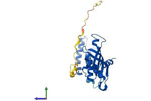 AlphaFold protein structure predicition of Human Recombinant GCH1 Protein, UniprotID P30793