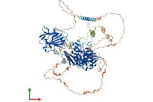 AlphaFold protein structure predicition of Mouse Recombinant B4galnt4 Protein, UniprotID Q766D5