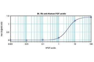Image no. 1 for anti-Fibroblast Growth Factor 1 (Acidic) (FGF1) antibody (Biotin) (ABIN465424) (FGF1 anticorps  (Biotin))