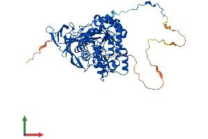 AlphaFold protein structure predicition of Mouse Recombinant Dpysl3 Protein, UniprotID Q62188