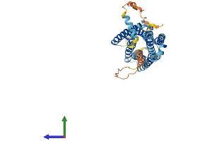 AlphaFold protein structure predicition of Human Recombinant NTSR2 Protein, UniprotID O95665