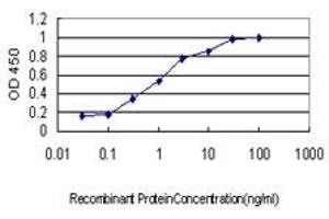 Detection limit for recombinant GST tagged HCAP-G is approximately 0. (NCAPG anticorps  (AA 336-435))