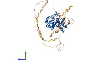 AlphaFold protein structure predicition of Mouse Recombinant Ccnk Protein, UniprotID O88874