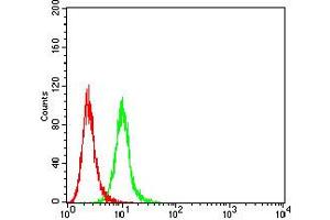 Flow cytometric analysis of K562 cells using CD10 mouse mAb (green) and negative control (red).
