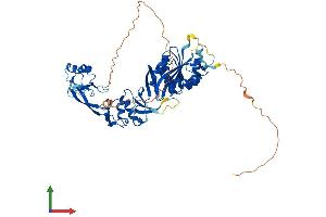 AlphaFold protein structure predicition of Human Recombinant TRMT5 Protein, UniprotID Q32P41