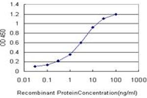 Detection limit for recombinant GST tagged FUSIP1 is approximately 0. (SRSF10 anticorps  (AA 1-100))