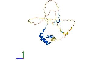 AlphaFold protein structure predicition of Human Recombinant HOXB6 Protein, UniprotID P17509