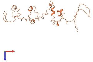 AlphaFold protein structure predicition of Human Recombinant KRTAP4-6 Protein, UniprotID Q9BYQ5