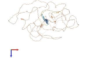AlphaFold protein structure predicition of Mouse Recombinant Apobr Protein, UniprotID Q8VBT6