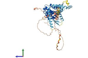 AlphaFold protein structure predicition of Human Recombinant PNPLA2 Protein, UniprotID Q96AD5