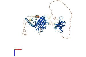 AlphaFold protein structure predicition of Human Recombinant SYTL1 Protein, UniprotID Q8IYJ3