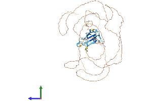 AlphaFold protein structure predicition of Human Recombinant TAF15 Protein, UniprotID Q92804