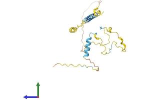 AlphaFold protein structure predicition of Mouse Recombinant Lat2 Protein, UniprotID Q9JHL0