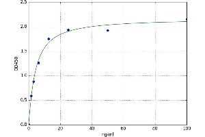 Jun Proto-Oncogene (JUN) ELISA Kit