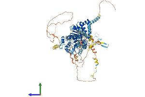 AlphaFold protein structure predicition of Human Recombinant DDX54 Protein, UniprotID Q8TDD1