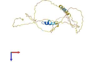 AlphaFold protein structure predicition of Human Recombinant ERMN Protein, UniprotID Q8TAM6