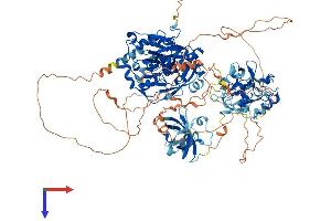 AlphaFold protein structure predicition of Human Recombinant KDM4C Protein, UniprotID Q9H3R0