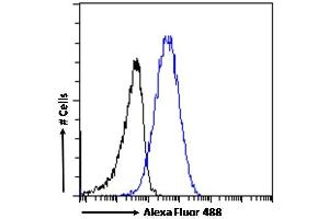 (ABIN185516) Flow cytometric analysis of paraformaldehyde fixed A431 cells (blue line), permeabilized with 0. (KPNB1 anticorps  (C-Term))