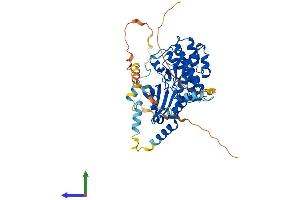 AlphaFold protein structure predicition of Mouse Recombinant Stk32c Protein, UniprotID Q8QZV4