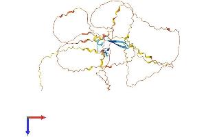 AlphaFold protein structure predicition of Human Recombinant FAM90A1 Protein, UniprotID Q86YD7