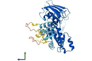 AlphaFold protein structure predicition of Mouse Recombinant Drg2 Protein, UniprotID Q9QXB9