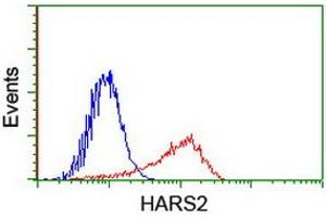 Image no. 2 for anti-Histidyl-tRNA Synthetase 2, Mitochondrial (Putative) (HARS2) antibody (ABIN1498582)