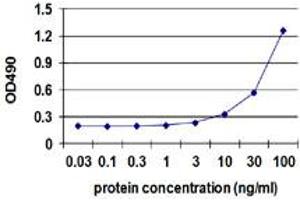 IFNA2 (Human) Matched Antibody Pair