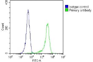 Overlay histogram showing  cells stained with (ABIN655635 and ABIN2845114)(green line).