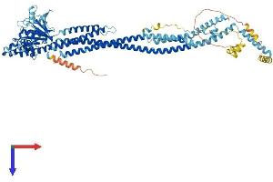 AlphaFold protein structure predicition of Human Recombinant MFN2 Protein, UniprotID O95140