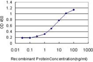 Detection limit for recombinant GST tagged CA1 is approximately 0.