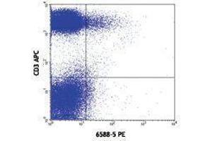 Flow Cytometry (FACS) image for anti-Chemokine (C-C Motif) Receptor 10 (CCR10) antibody (PE) (ABIN2662919) (CCR10 anticorps  (PE))