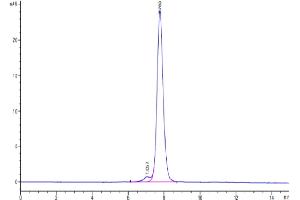 The purity of Human CDH17 Domain 6-7 is greater than 95 % as determined by SEC-HPLC. (LI Cadherin Protein (AA 567-777) (Fc Tag))