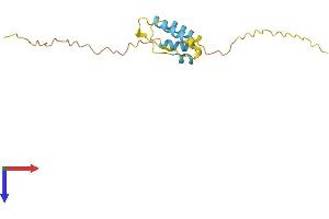 AlphaFold protein structure predicition of Human Recombinant PPP1R14A Protein, UniprotID Q96A00
