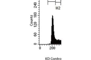 MAF1 knockdown upregulates CDKN1A and GDF15 expression in HCT116p53+/+ (wild-type), HCT116p53-/- (p53-null), MCF-10A, and MDA-MB-231 cell lines.