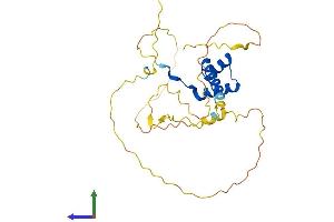 AlphaFold protein structure predicition of Human Recombinant NKX2-2 Protein, UniprotID O95096