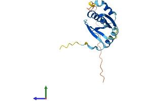AlphaFold protein structure predicition of Human Recombinant TSEN15 Protein, UniprotID Q8WW01