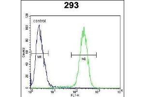 TMEM66 Antibody (N-term) (ABIN654703 and ABIN2844395) flow cytometric analysis of 293 cells (right histogram) compared to a negative control cell (left histogram). (TMEM66 anticorps  (N-Term))