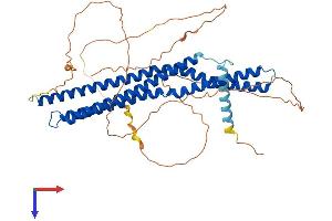 AlphaFold protein structure predicition of Mouse Recombinant Bin2 Protein, UniprotID D3Z6Q9